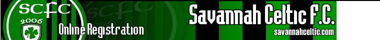 Georgia Soccer banner
